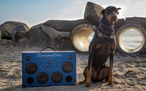 THE POWER OF MUSIC IN EASING DOG SEPARATION ANXIETY