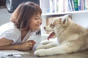 WHAT YOU SHOULD KNOW BEFORE ADOPTING